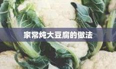 家常炖大豆腐的做法