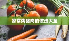 家常烧猪肉的做法大全