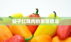 茄子红烧肉的家常做法