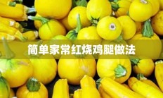 简单家常红烧鸡腿做法