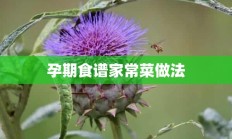 孕期食谱家常菜做法