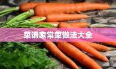 菜谱家常菜做法大全