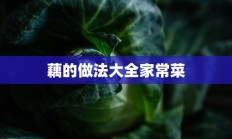 藕的做法大全家常菜