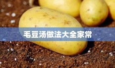 毛豆汤做法大全家常