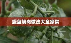 鳗鱼烧肉做法大全家常