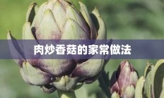 肉炒香菇的家常做法