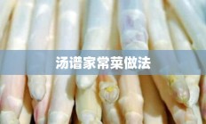 汤谱家常菜做法