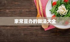 家常豆办的做法大全