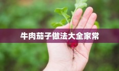 牛肉茄子做法大全家常