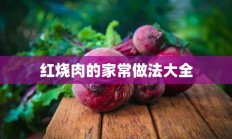 红烧肉的家常做法大全