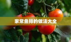 家常鱼排的做法大全