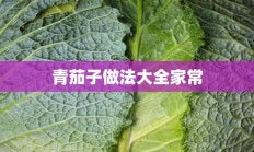 青茄子做法大全家常