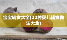 宝宝辅食大全(22种婴儿辅食做法大全)