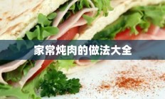 家常炖肉的做法大全