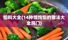 馅料大全(14种馄饨馅的做法大全窍门)