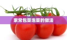 家常包菜泡菜的做法