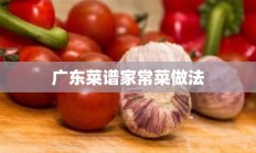 广东菜谱家常菜做法