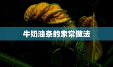 牛奶油条的家常做法