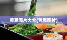 黄豆图片大全(黄豆图片)