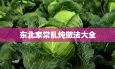 东北家常乱炖做法大全