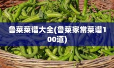 鲁菜菜谱大全(鲁菜家常菜谱100道)