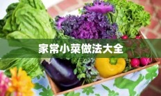 家常小菜做法大全