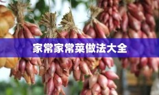 家常家常菜做法大全