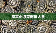 家常小凉菜做法大全