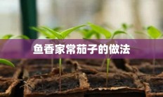 鱼香家常茄子的做法