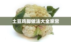 土豆鸡脚做法大全家常