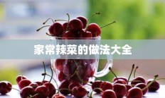 家常辣菜的做法大全