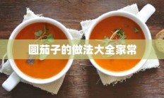 圆茄子的做法大全家常