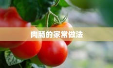 肉肠的家常做法