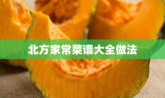 北方家常菜谱大全做法