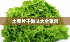 土豆片干做法大全家常