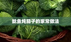 鲶鱼炖茄子的家常做法