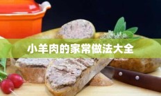 小羊肉的家常做法大全