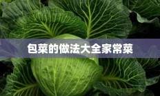 包菜的做法大全家常菜