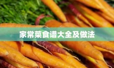 家常菜食谱大全及做法