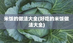 米饭的做法大全(好吃的米饭做法大全)