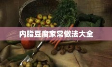 内脂豆腐家常做法大全