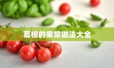 葛根的家常做法大全