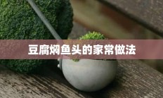 豆腐焖鱼头的家常做法