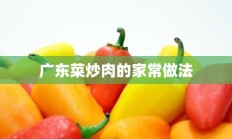 广东菜炒肉的家常做法