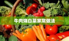 牛肉烧白菜家常做法