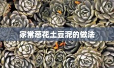 家常葱花土豆泥的做法