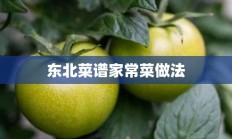 东北菜谱家常菜做法