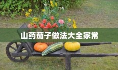 山药茄子做法大全家常