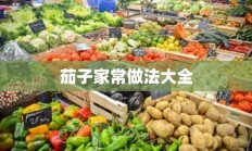 茄子家常做法大全