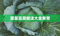 菠菜豆腐做法大全家常